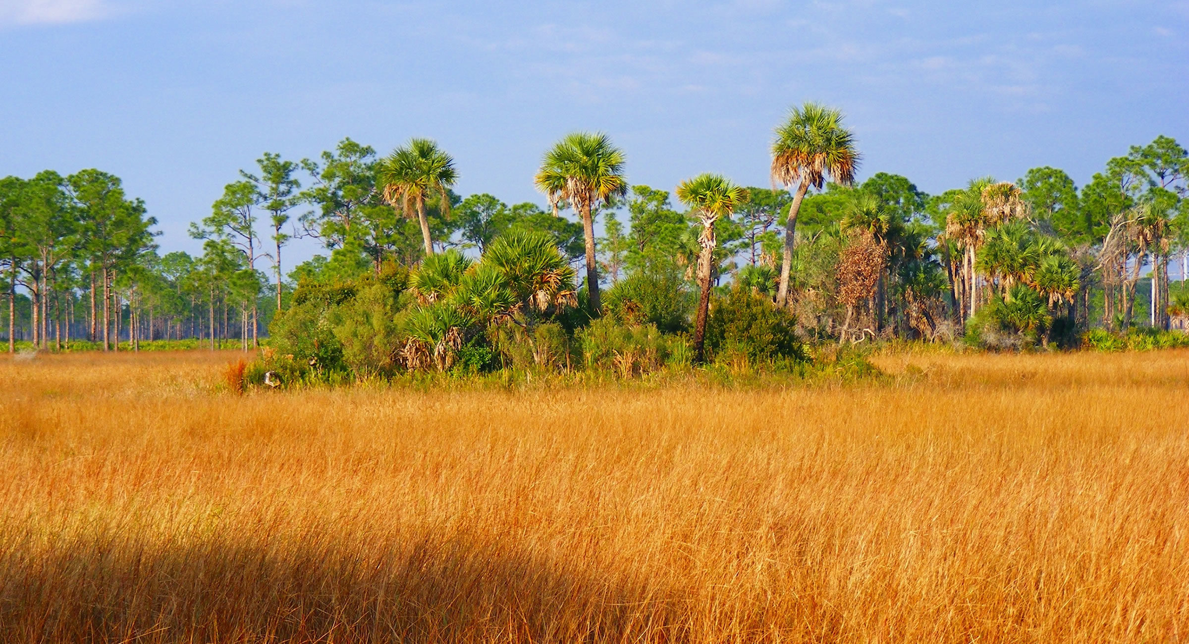croppedBG1.jpg Florida Funeral Jobs